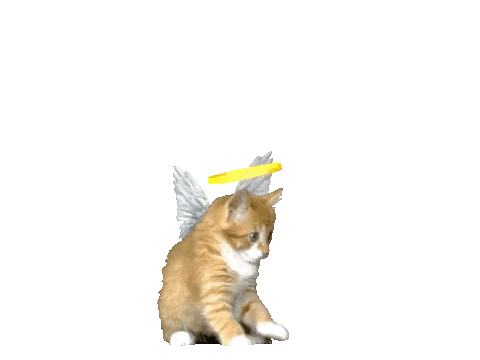 b6736e293f7b7929bb7a1ead516101c0.gif