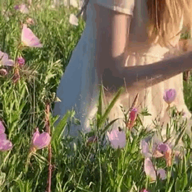 e1222df198de683024b32b24dcfe3355.gif