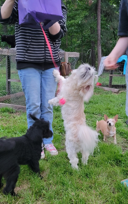 Pinata time!