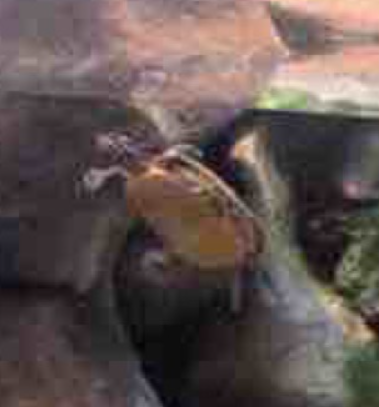 Screenshot-2026-07-28-12-04-54-AM.png