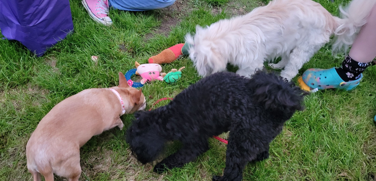 treats