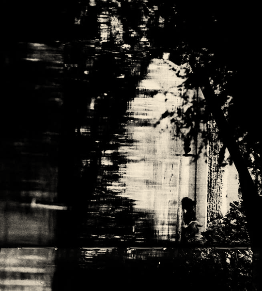 Black and white image non important