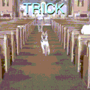 Whats-App-Video2025-11-13at19-04-55-e14c76ac-ezgif-com-resize