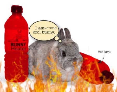 i am NOT one cool bunny