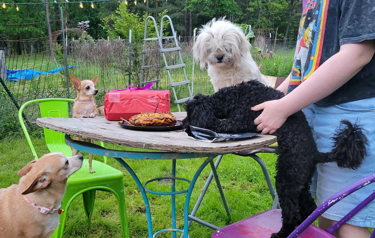 waiting 4 cake