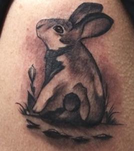 Jon 🐇