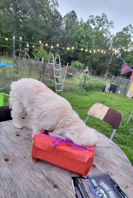 opening present