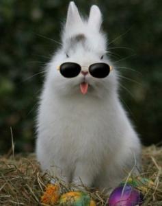 Jon 🐇