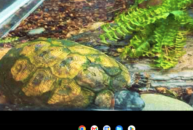 Screenshot-2026-07-28-12-05-38-AM.png