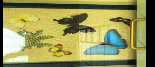 Screenshot-2026-07-28-12-05-15-AM.png