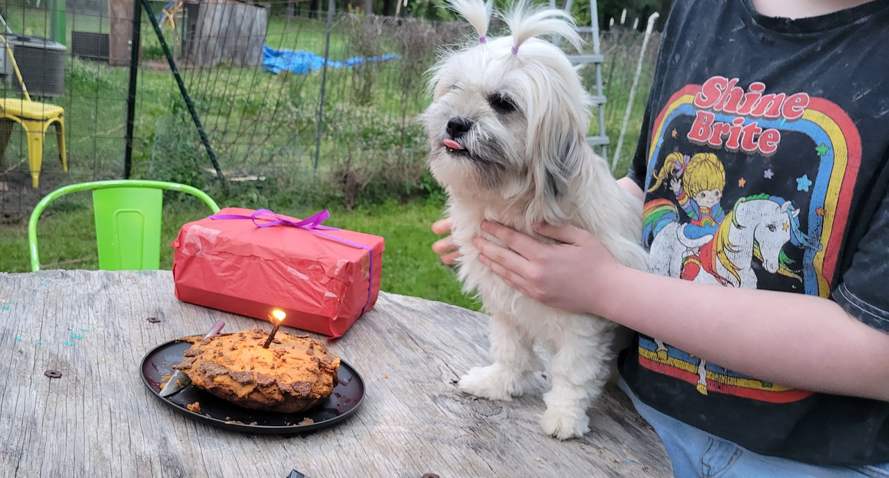 todie and cake