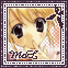 XO6RWFNRDO3XXLVIV3KW4R4NCWWVS3H7.gif