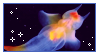 angelfish