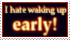 https://i.postimg.cc/SxDqTDqs/IMG-7086.png