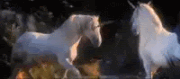 unicorns
