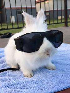 Jon 🐇