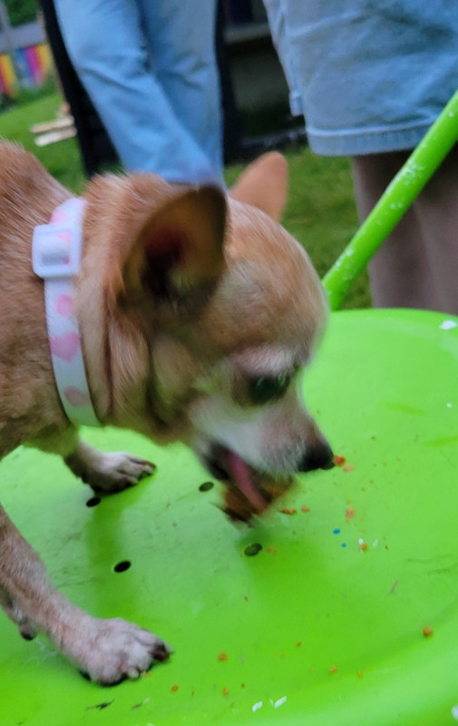 even more eating