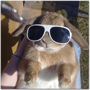 Jon 🐇