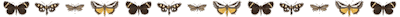 Butterfly-Divider