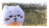Tumblr-l-525387699547545
