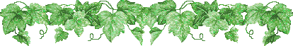 image host