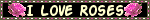 giphy-2