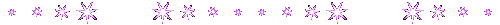 image host