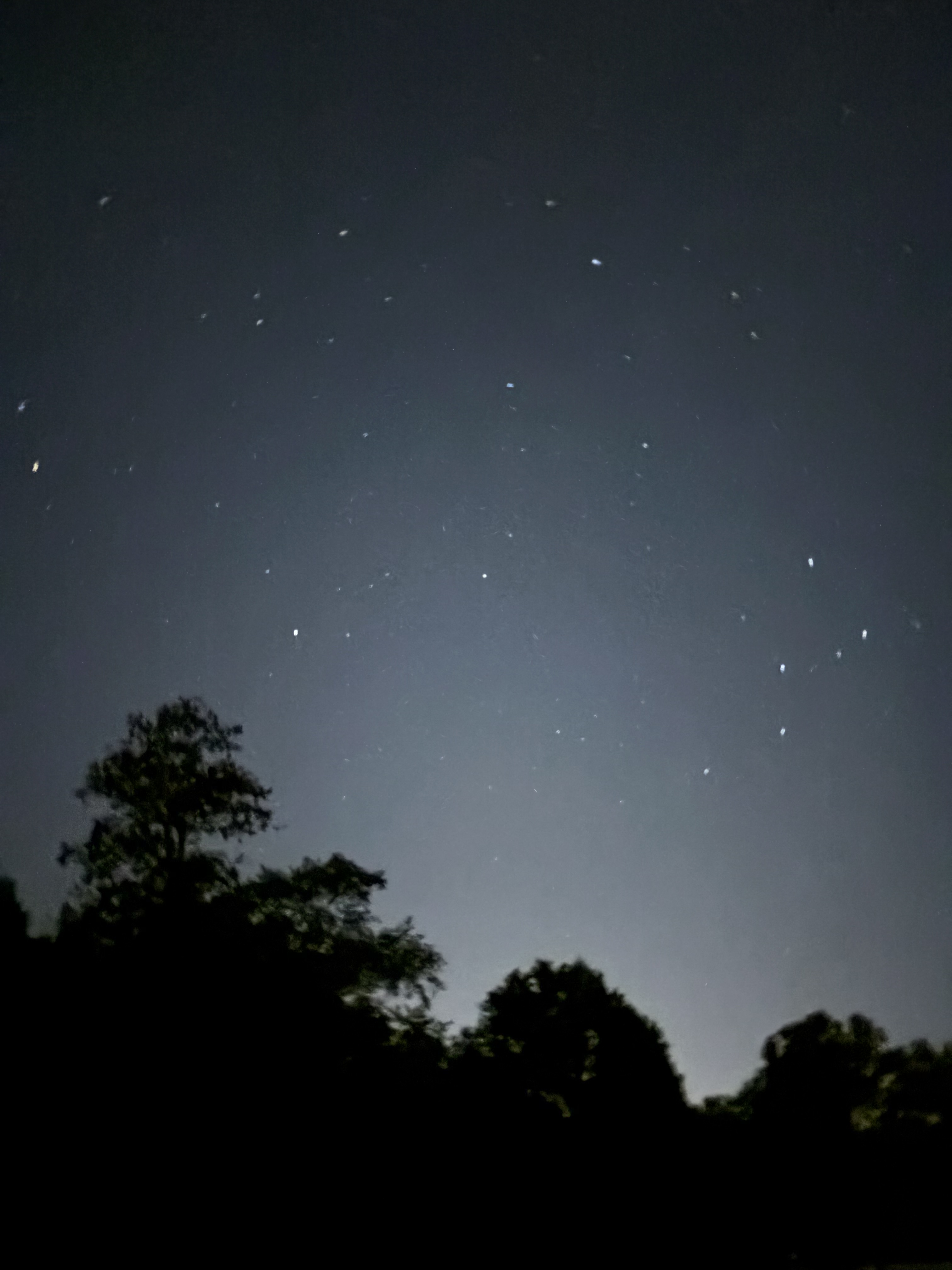 stars