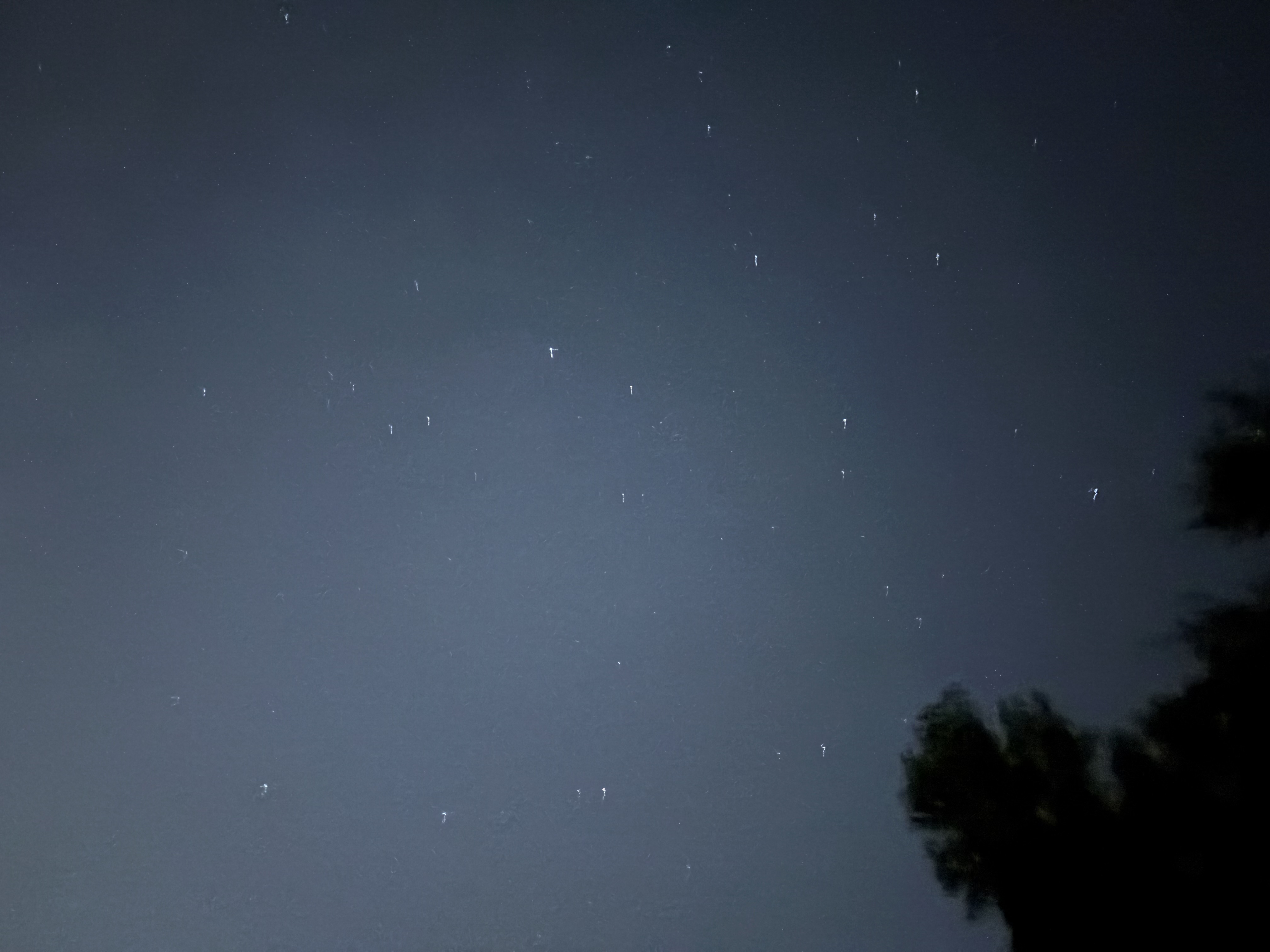 stars