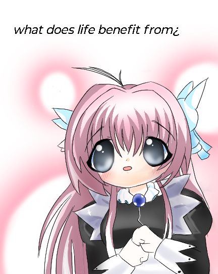 Bunni