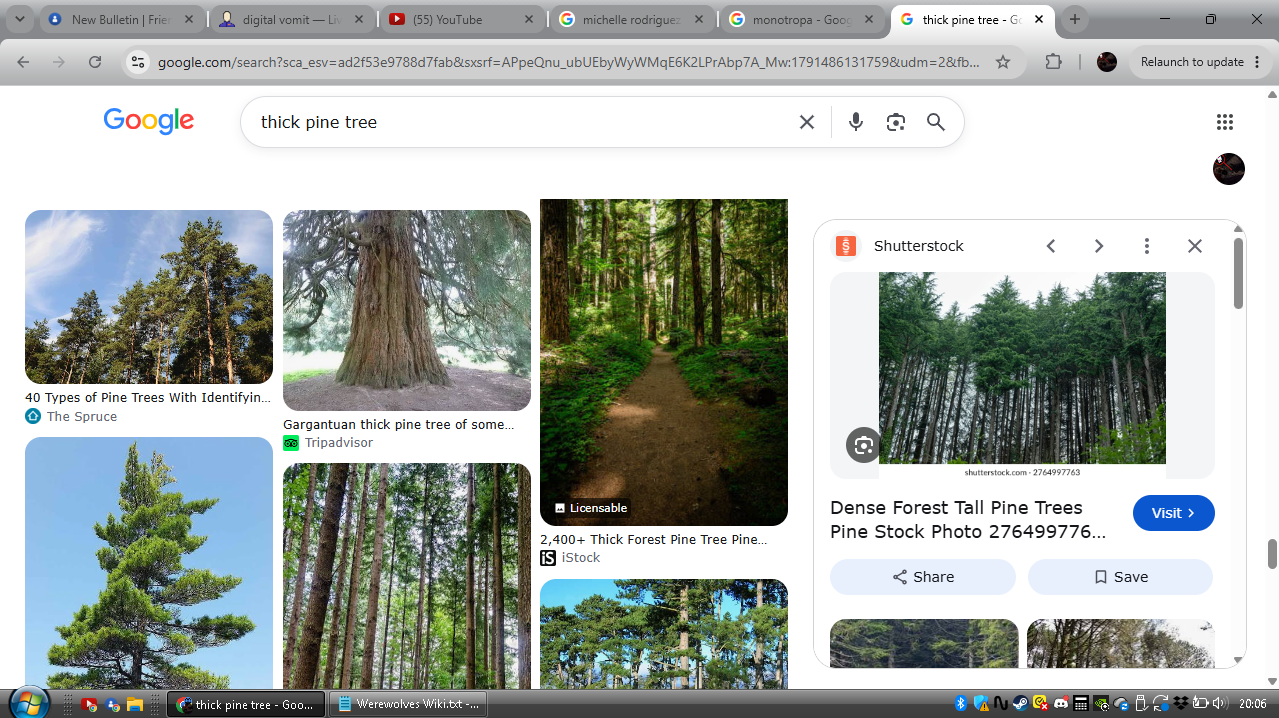 my screen
