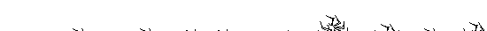 1000008607