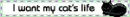 CkFwekB.webp