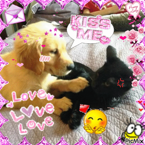 me and my gf 🥺 - Free animated GIF