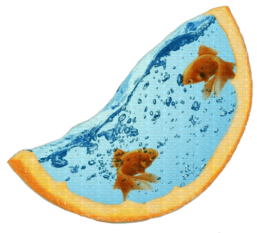 peces