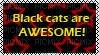 Black cats are AWESOME! - Free PNG