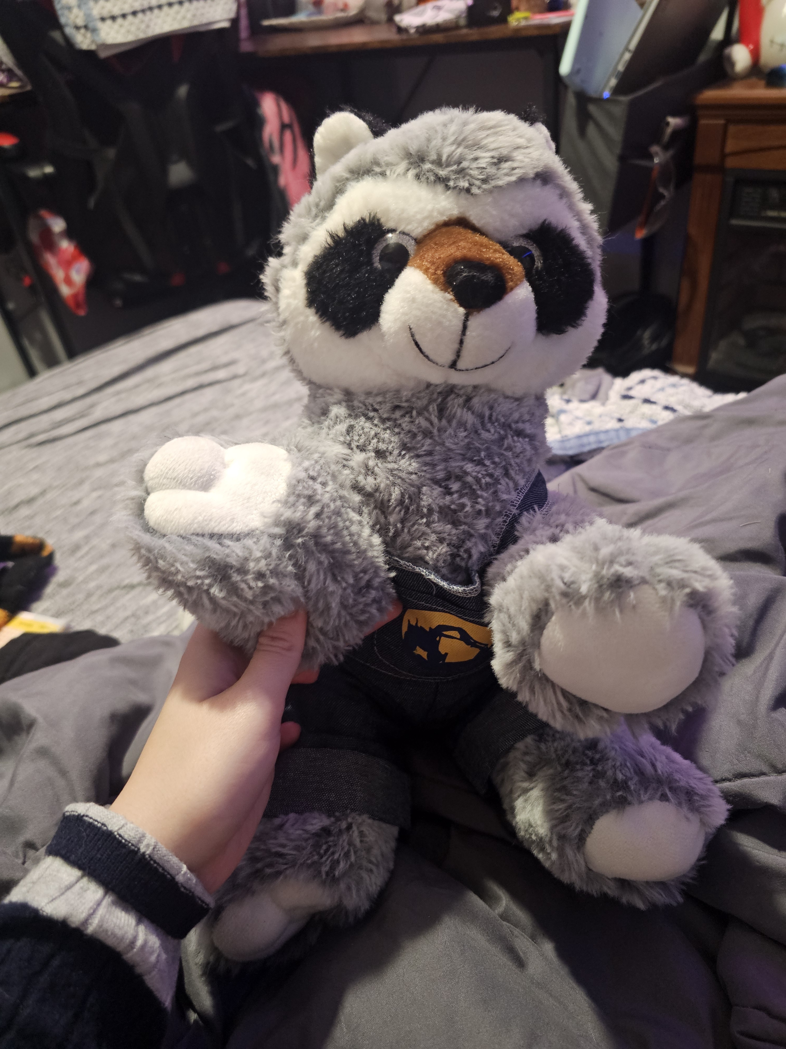 Ricky the Raccoon