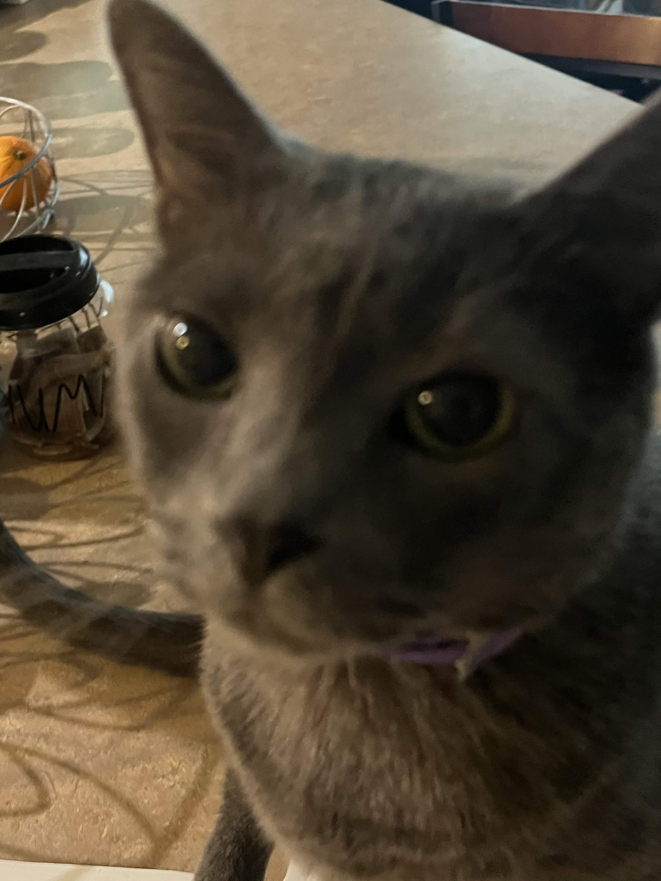 :3