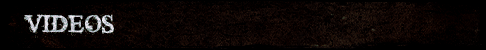Video Header