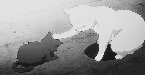 cats