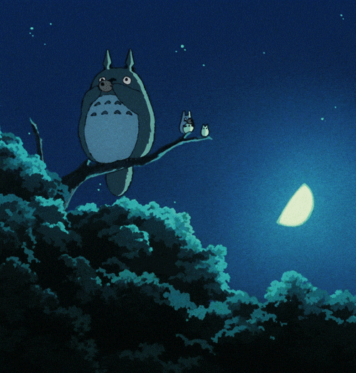 Totoro GIF