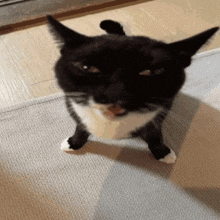 klassny-klassni-klassny.gif