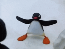 pingu-noot-noot.gif