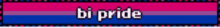 Bi Pride