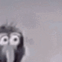 gonzo from the muppets saying "guilt" (he has big eyes and a long nose, hes wearing a suit and it dark purple