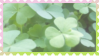 clovercore stamps !!