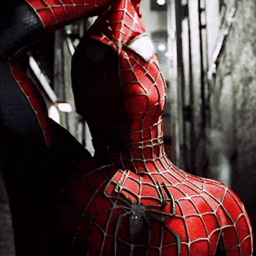 spiderman 2 (2004)