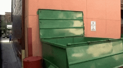 Norm getting thorwn into a trash can