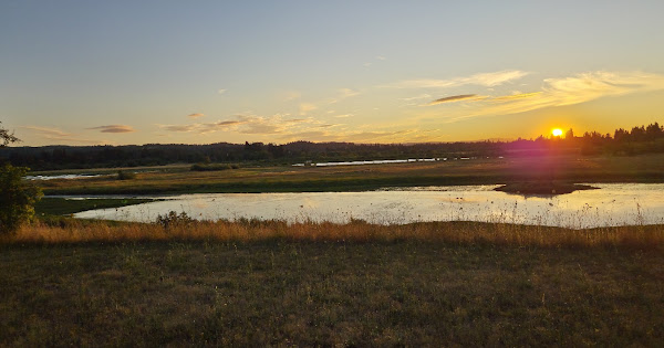Sunset over a wildlife refuge. Very orange with reflection over a pond