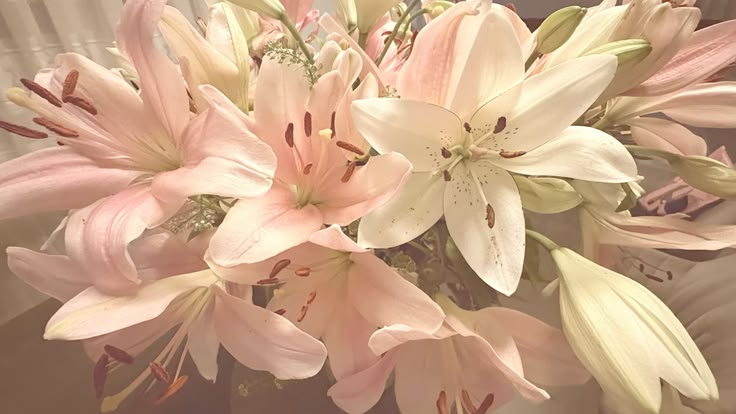 Flores
